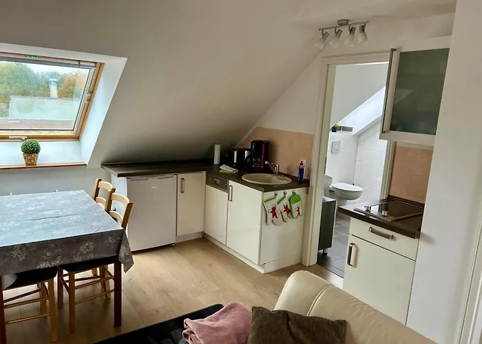 Goldener Anker, Verschiedene Gemuetliche *