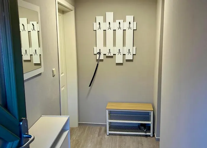 Goldener Anker, Verschiedene Gemuetliche アパート ラインスベルク